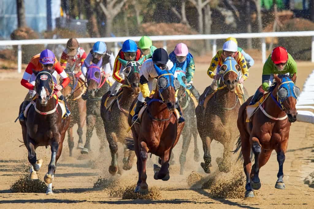 Arbitrage Horse Racing