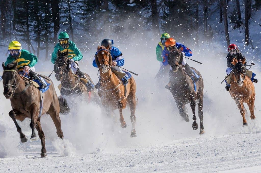 Horse Racing Gambling Strategy